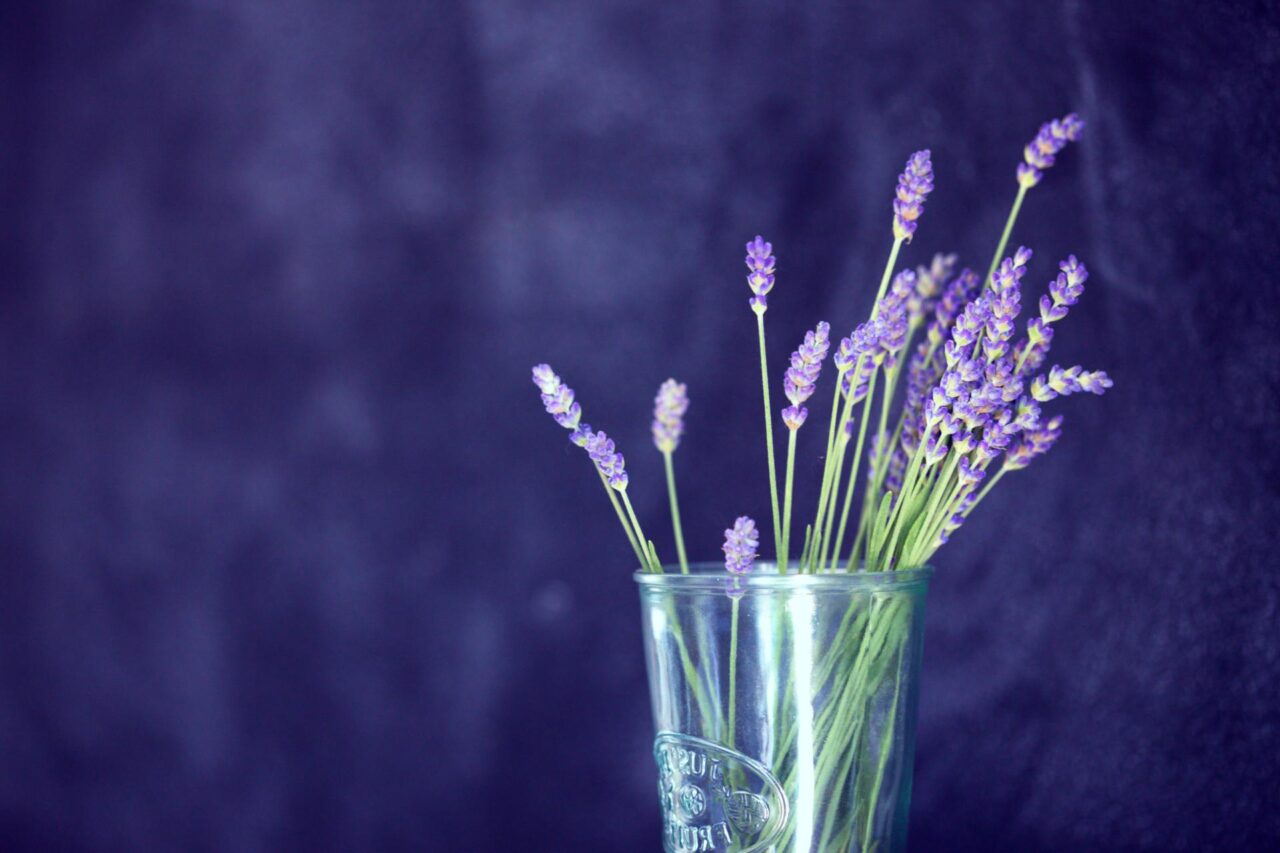 Glass of Lavender
